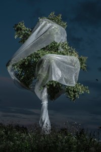 Photo credit: Janosh Boerckel